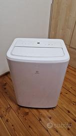 Climatizzatore pinguino