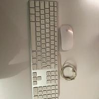 Magic mouse e tastiera apple.