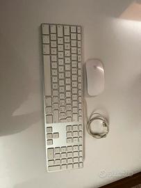 Magic mouse e tastiera apple.