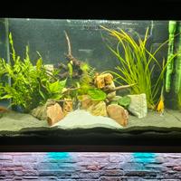 ACQUARIO ASKOLL  NATURE PRO LED 80