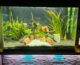ACQUARIO ASKOLL  NATURE PRO LED 80