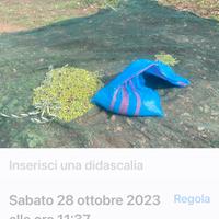 Visionarlo