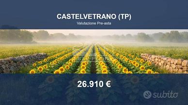 Immobile in asta di 7565 m² a Castelvetrano