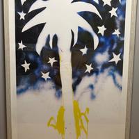 Mario Schifano - Palma - 70x50