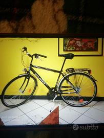  bicicletta Olmo da passeggio 