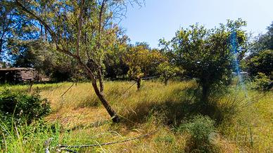 Terreno con immobile da ristrutturare