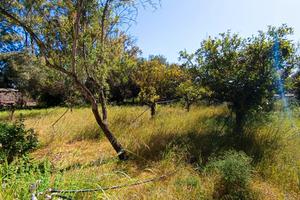 Terreno con immobile da ristrutturare