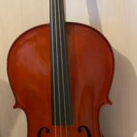 violoncello