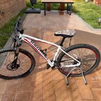 Bicicletta Specialized Rockhopper