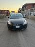 ford-focus-1-6-tdci-105-cv-econetic