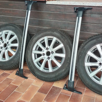 Pneumatici e cerchi Ford