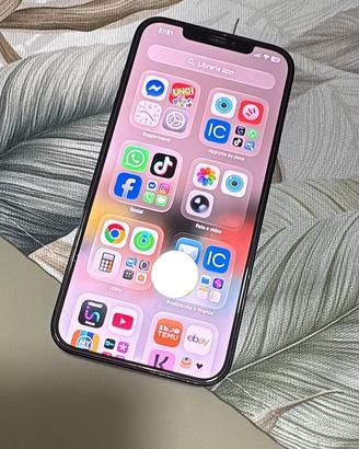 Iphone 12 pro max