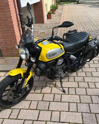 Ducati Scrambler Icon 800 gialla