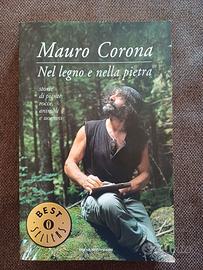 Nella pietra e nel legno (ISBN 9788804537861)