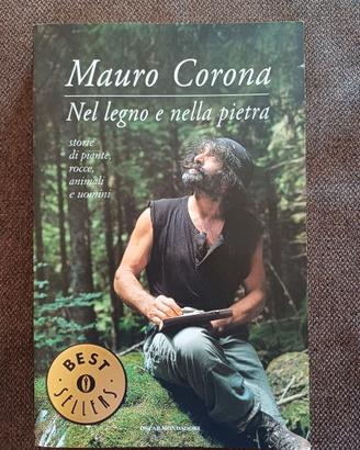 Nella pietra e nel legno (ISBN 9788804537861)