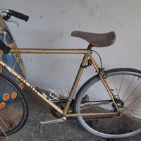 Bici da corsa olmo