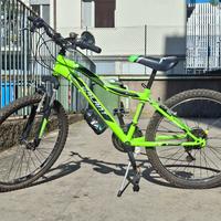 Casadei Vortex VX24"