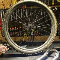 Ruota completa 29 ‘