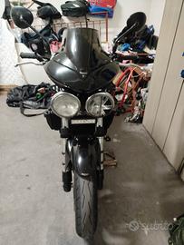 Triumph 955i Daytona 