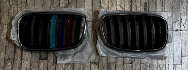 Griglia reni M sport bmw x5 e70