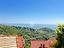 Immagine 8