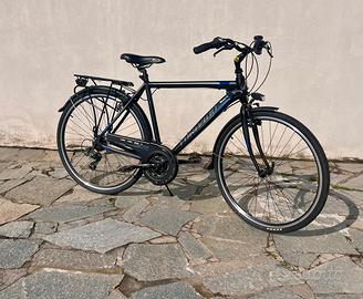 Bicicletta uomo Torpado