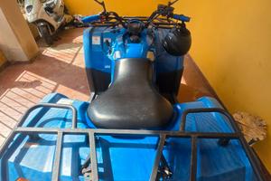 Quad cf motor