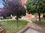 Immagine 23