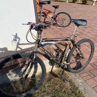 Bicicletta MTB da uomo