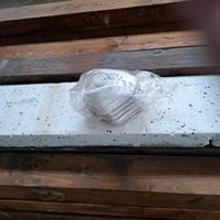 mascherina monouso  ffp3