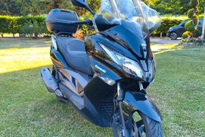 Kawasaki j300