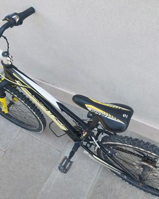 Bicicletta ragazzi 8-12 anni