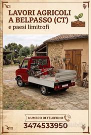 Bracciante agricolo