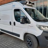 Fiat Ducato frigo 150 cv