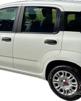 Porta posteriore sinistra Fiat Panda 3 serie