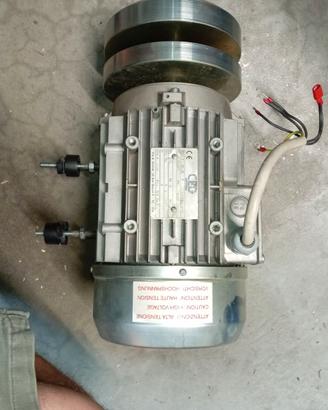 motore tecnogim elettrico