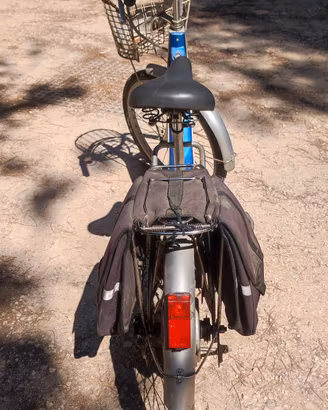 Bicicletta pedalata assistita 