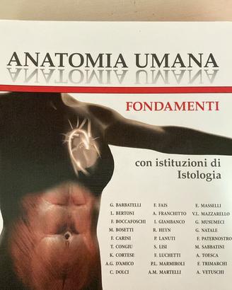 Edi Ermes " Anatomia umana"