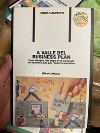 A valle del business plan - libro