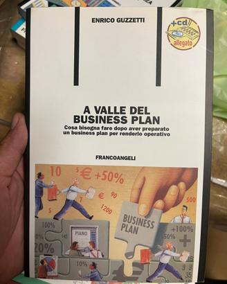 A valle del business plan - libro