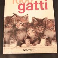 "1000 gatti"
