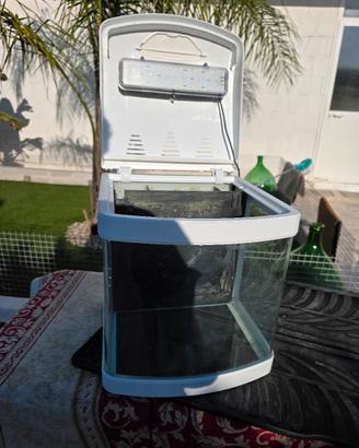 acquario 30lt