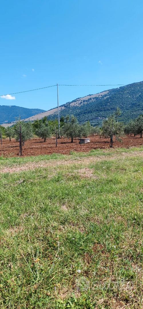 Terreno agricolo - Vista 4