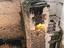 Immagine 7
