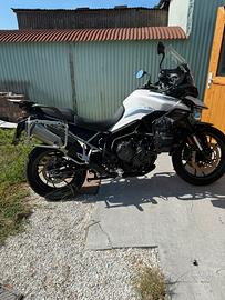 TRIUMPH TIGER 900gt pro