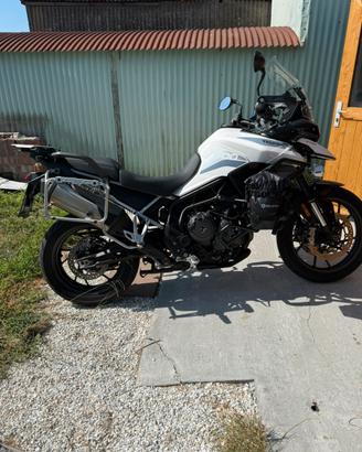 TRIUMPH TIGER 900gt pro