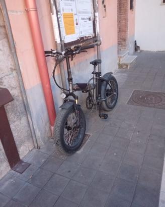 Bicicletta elettrica