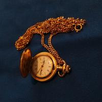 Orologio Wille Freres taschino