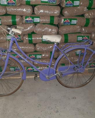 Bicicletta