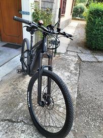 Bicicletta elettrica